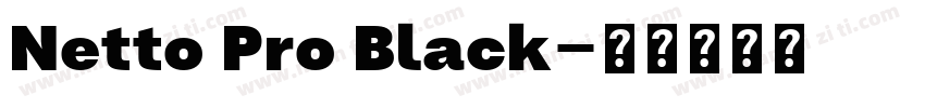 Netto Pro Black字体转换